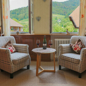 Sitzecke mit Sessel und Blick ins Gr�ne vom Gasthaus goldener Engel